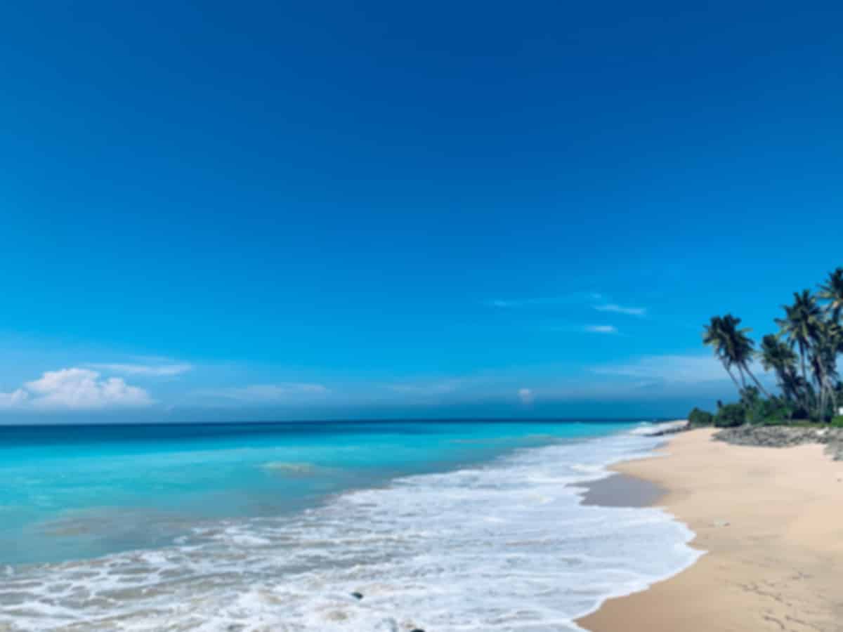 Mirissa Beach Sri Lanka: Complete Travel Guide, Things to Do & Travel Tips