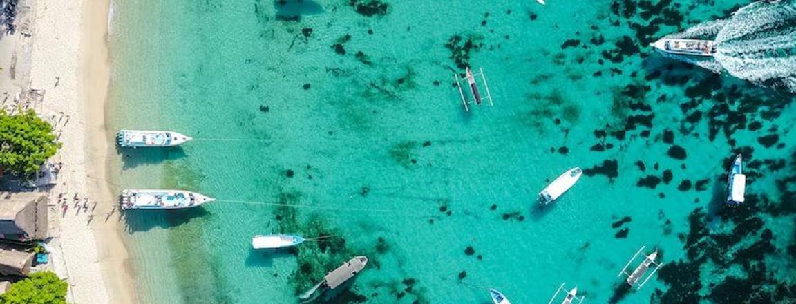 mushroom bay beach.jpg