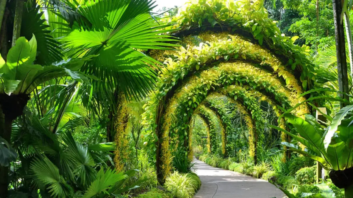 National orchids garden