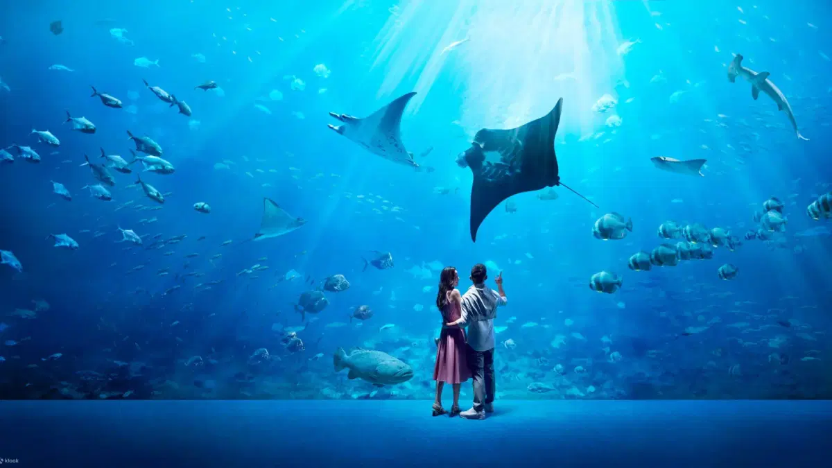 sea aquarium sentosa