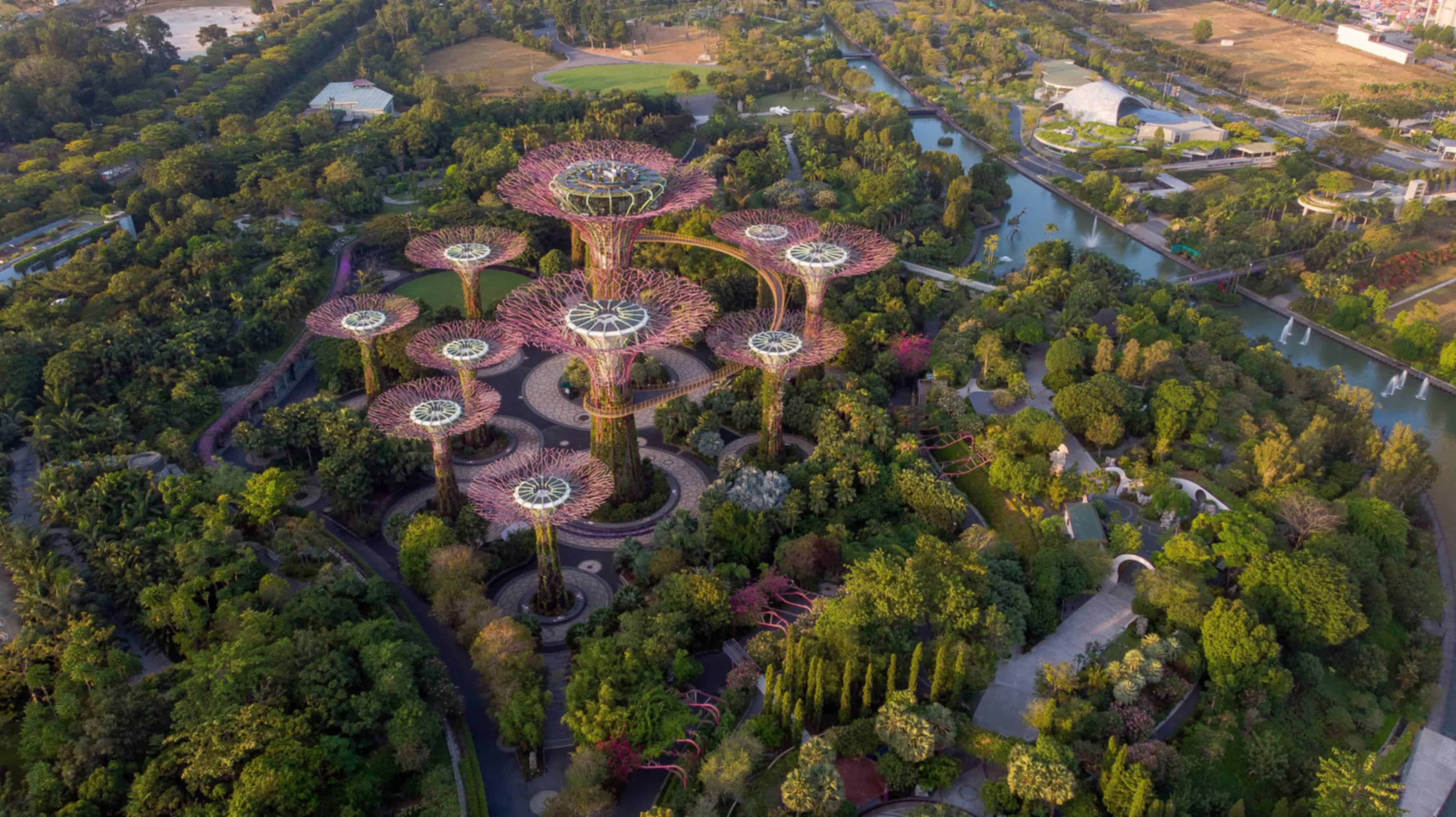Singapore in July: Your Complete Travel Guide to the Lion City
