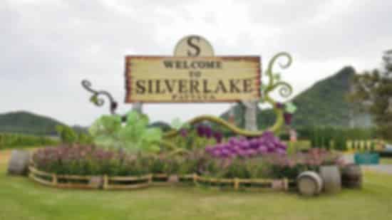 Silverlake in Pattaya: Complete Guide to Vineyard Tours, Wine Tasting & Scenic Views