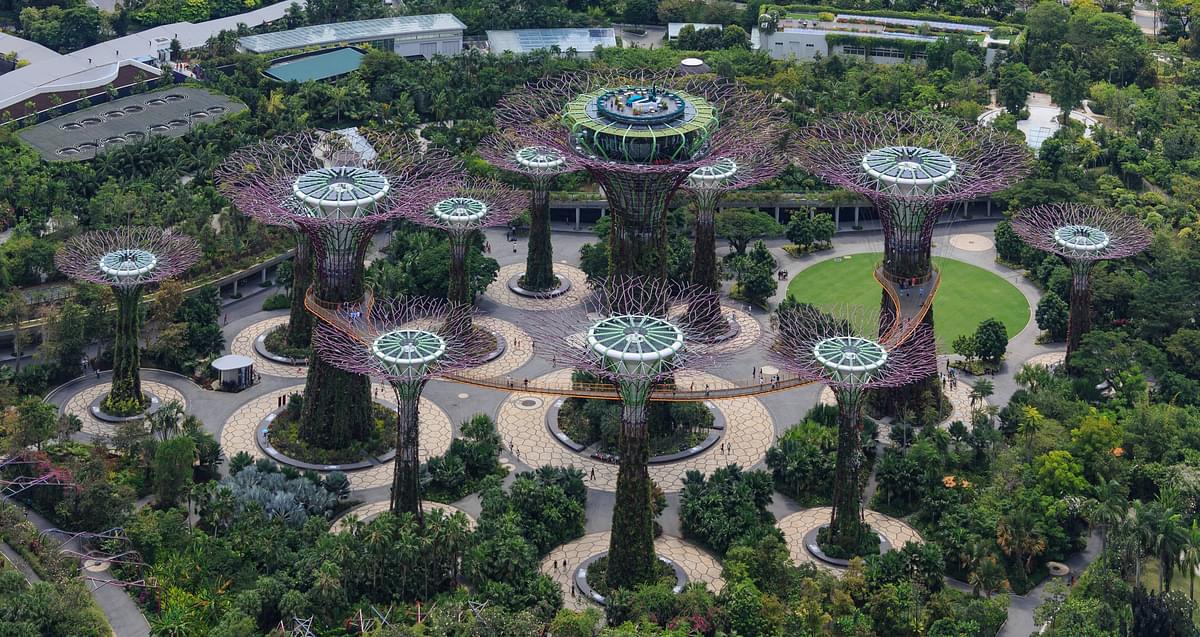 Winter in Singapore 