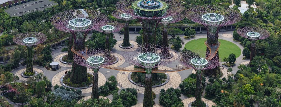 Winter in Singapore