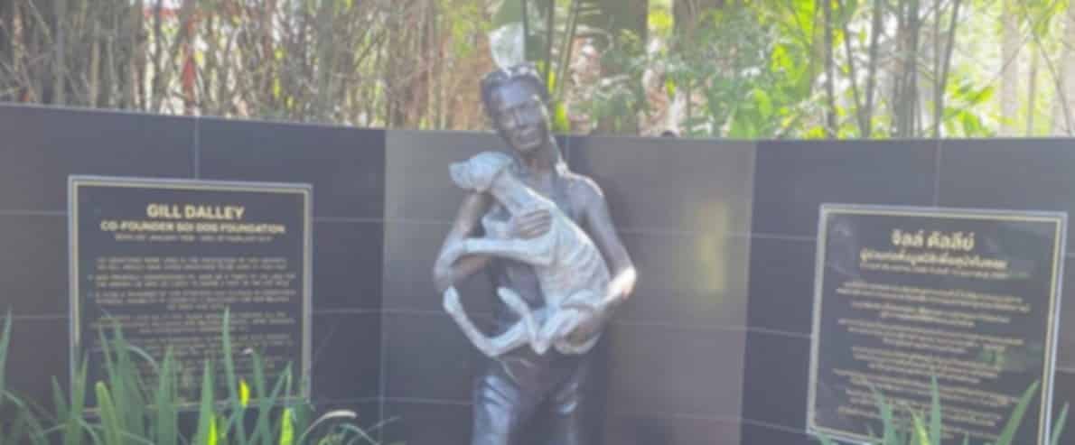 Soi Dog Foundation Phuket Travel Guide 2026