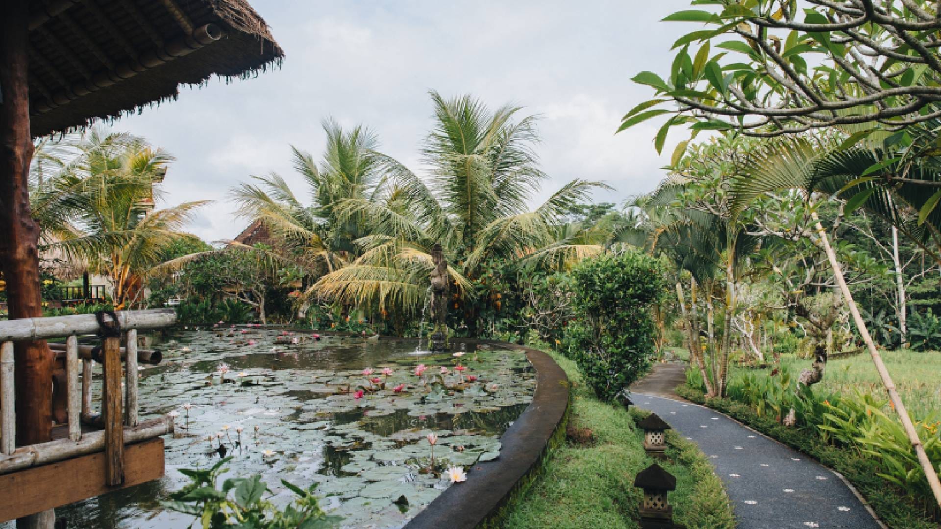 Things to do in Bali