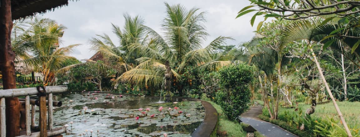 Things to do in Bali