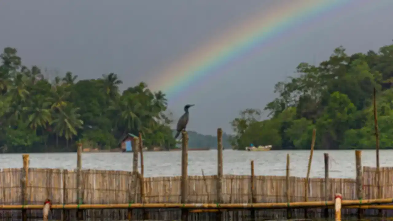 Best Things to Do in Bentota, Sri Lanka, 2026: Travel Guide with Prices & Tips