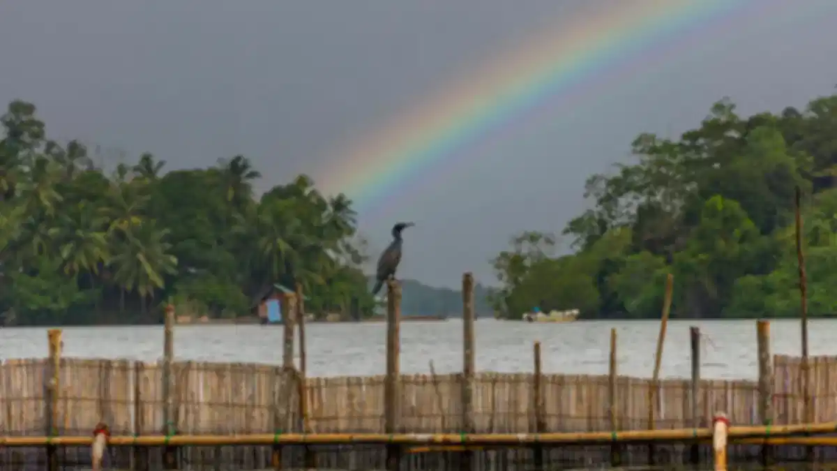 Best Things to Do in Bentota, Sri Lanka, 2026: Travel Guide with Prices & Tips