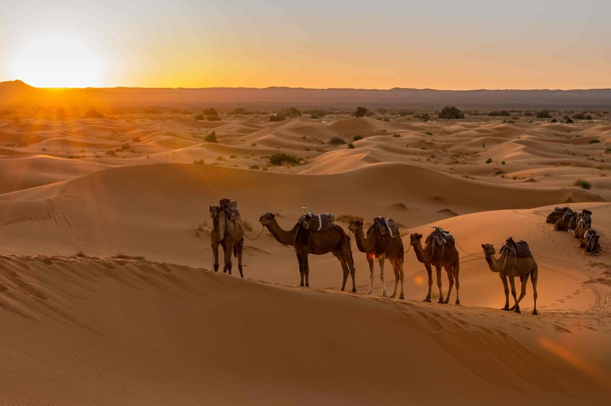 Things to do in Dubai
