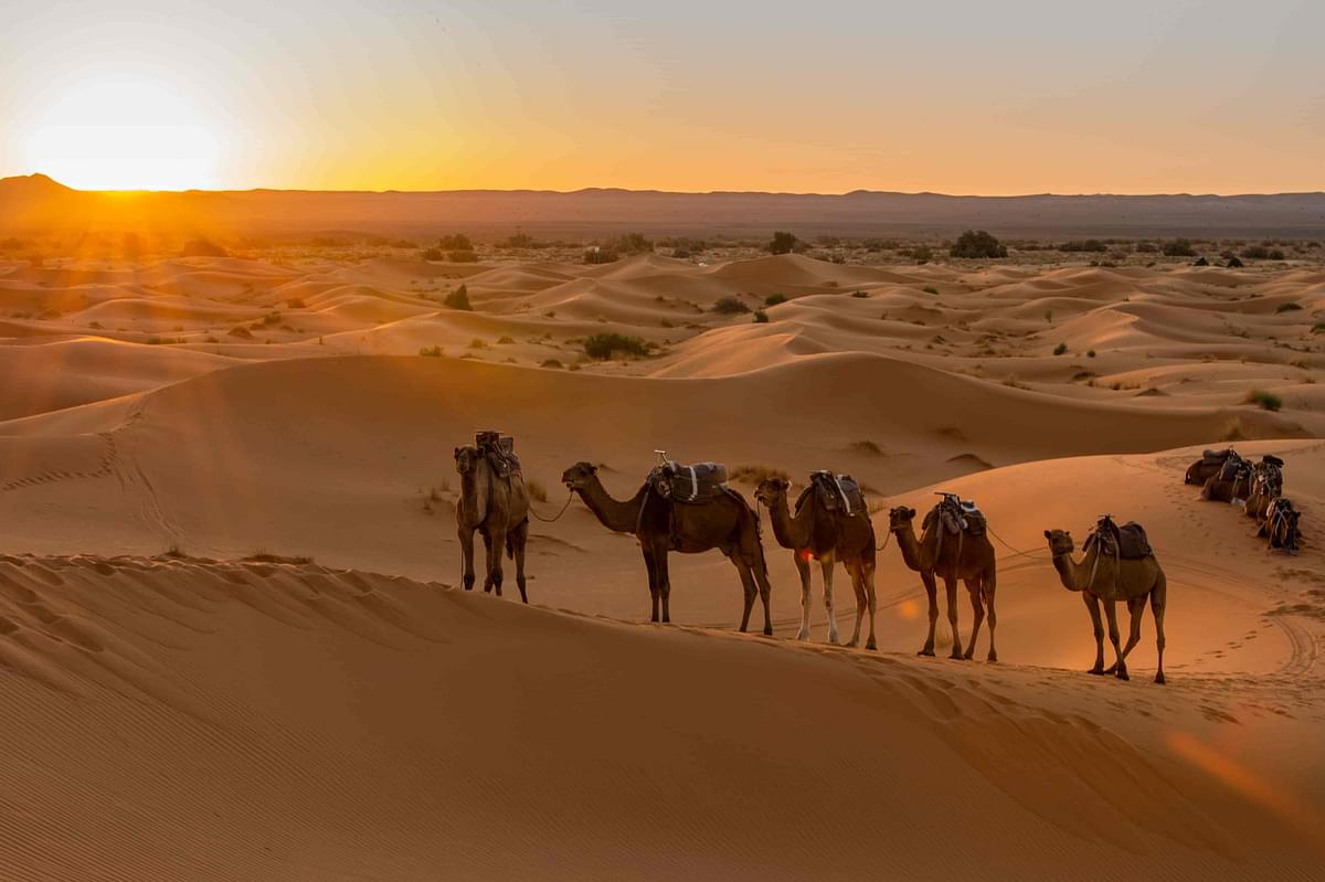 Things to do in Dubai