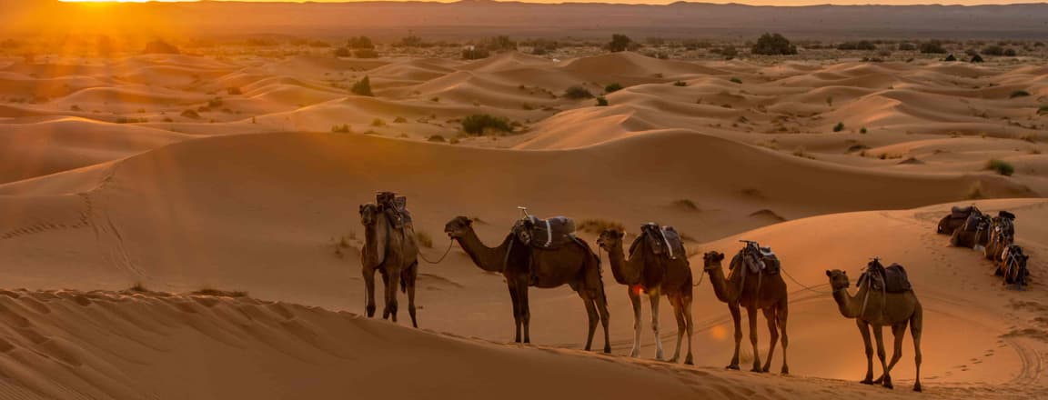 Things to do in Dubai