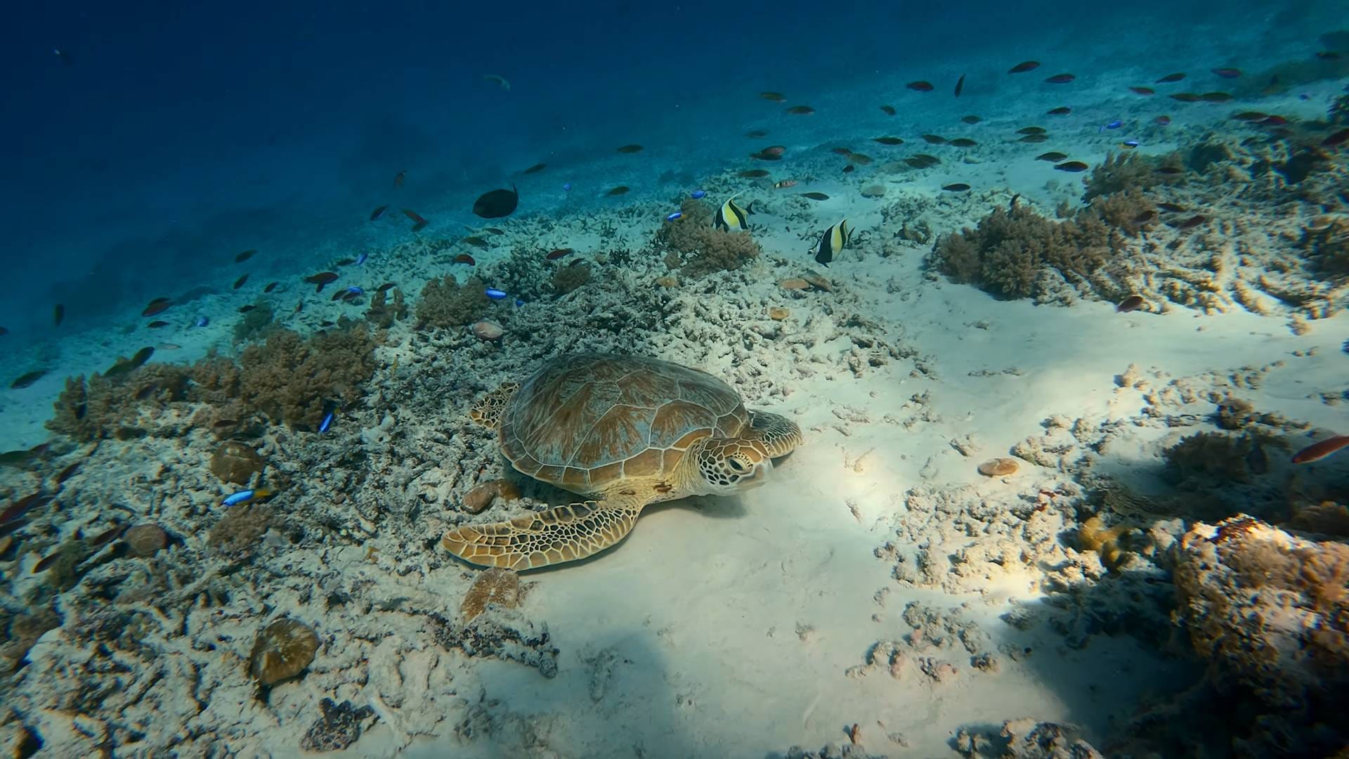 Things to do in Lombok