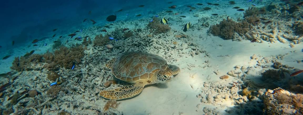 Things to do in Lombok