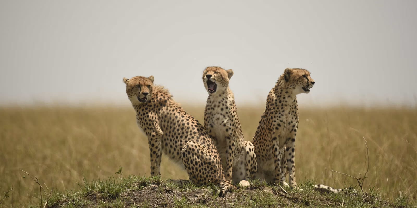 Things to do in Nairobi