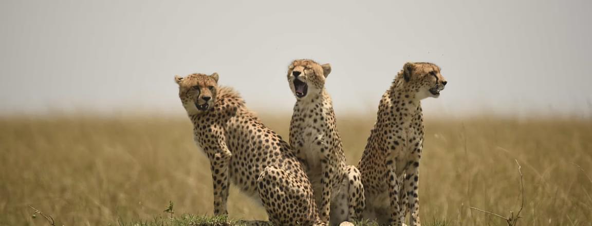 Things to do in Nairobi