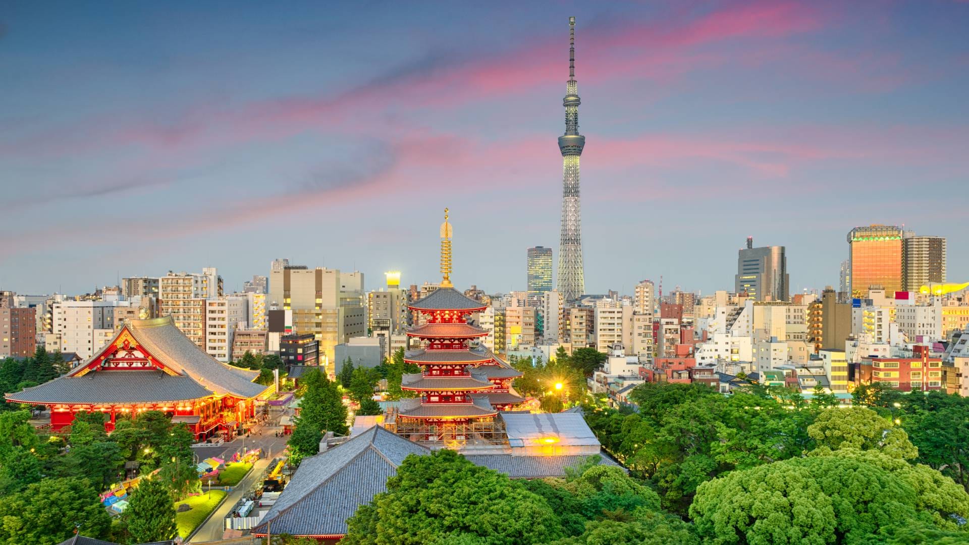 Things to do in Tokyo