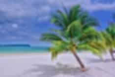 Koh Tao Travel Guide and Tourism