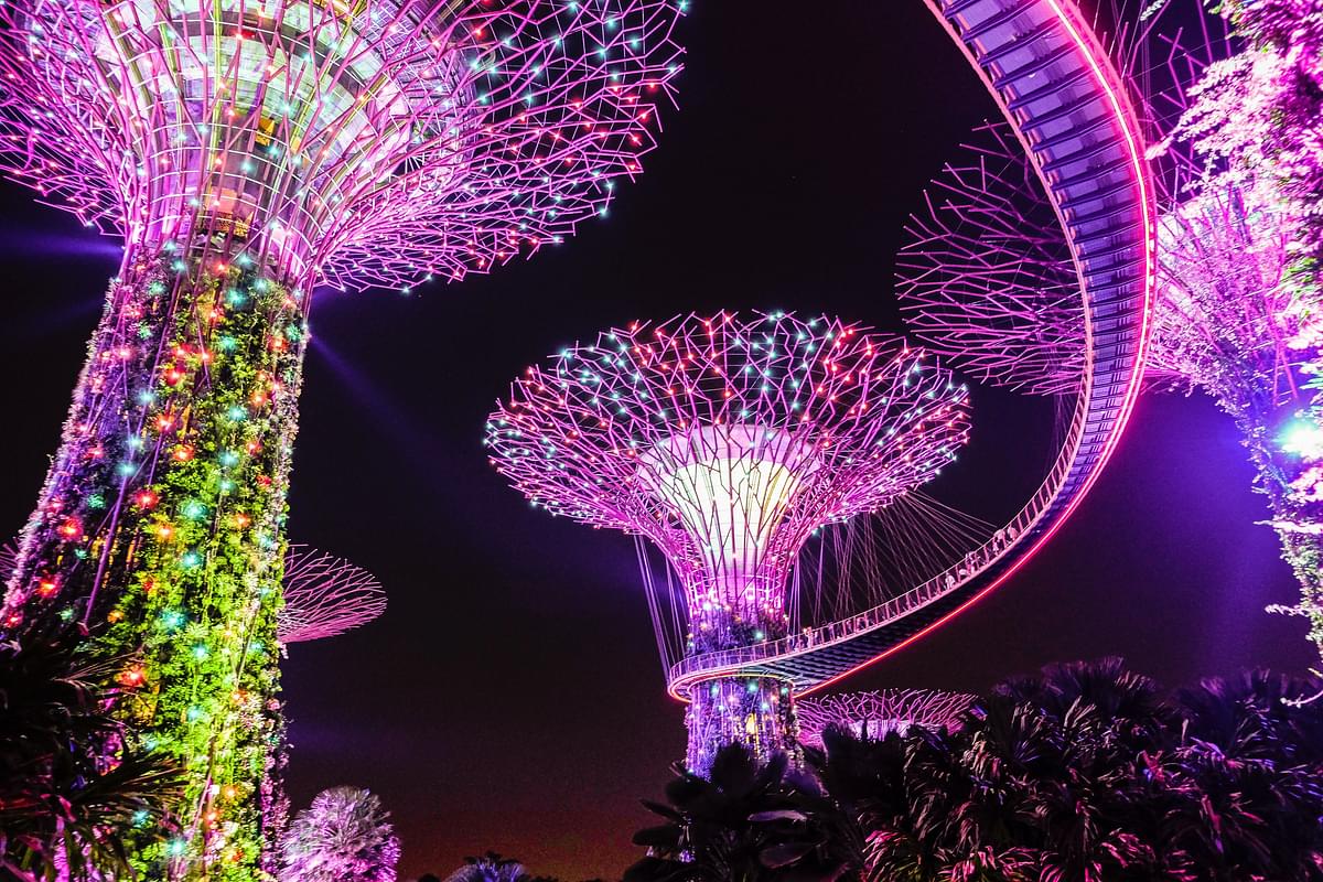 Night-Image-of-Gardens-by-the-bay.jpg