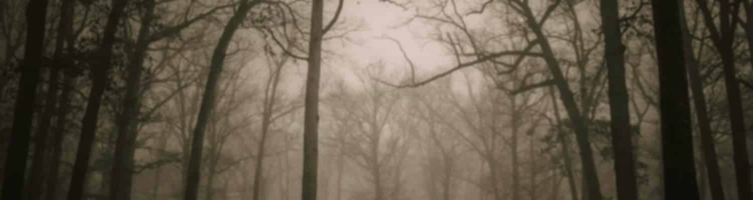 Haunted Places in Dubai: Complete Guide to Ghost Tours & Spooky Sites