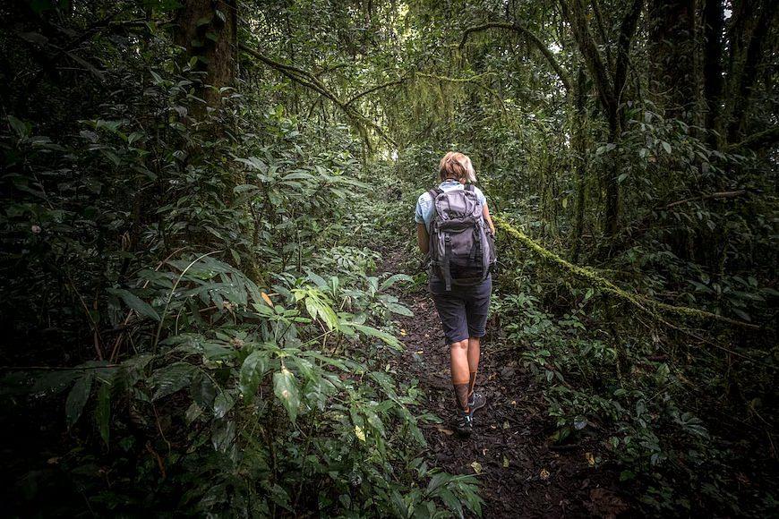 trekking-in-bali.jpg