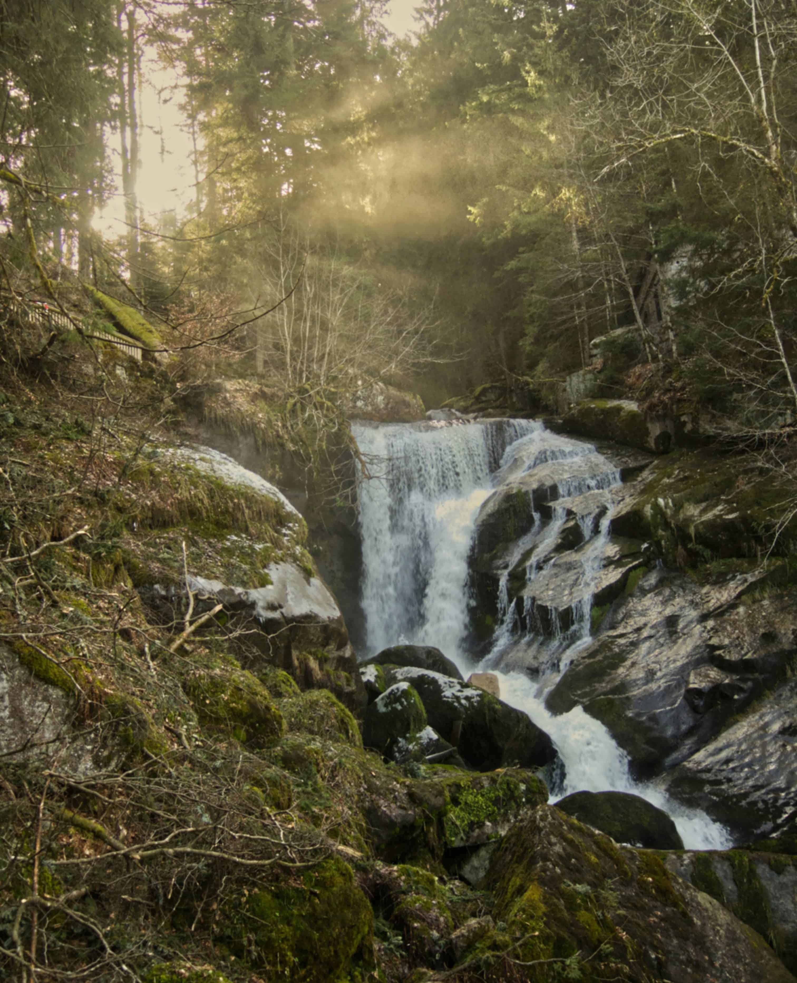 Triberg Travel Guide and Tourism