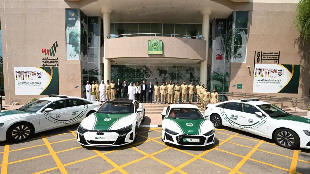 uae policy cars