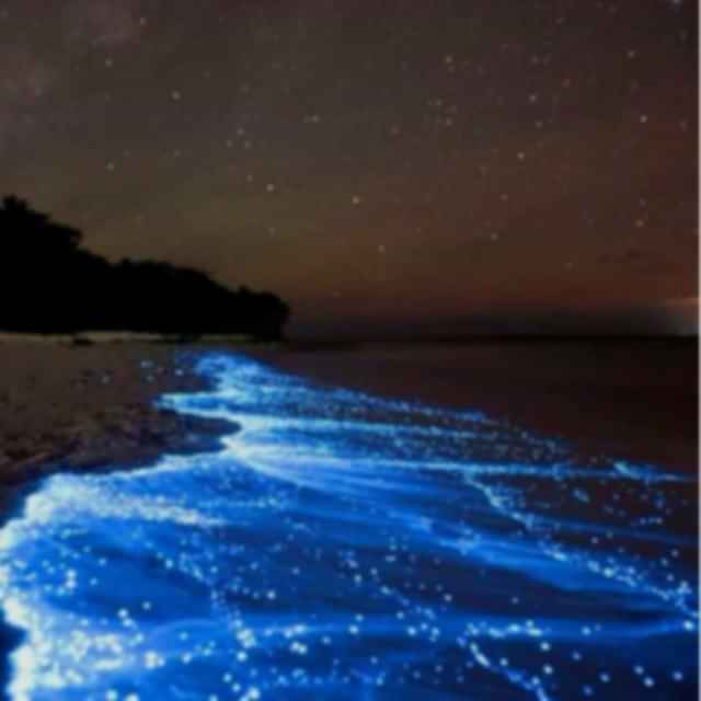 https://images.pickyourtrail.com/vaadhoo_islands_maldives_890ddb850b.jpg?dpr=1&q=40