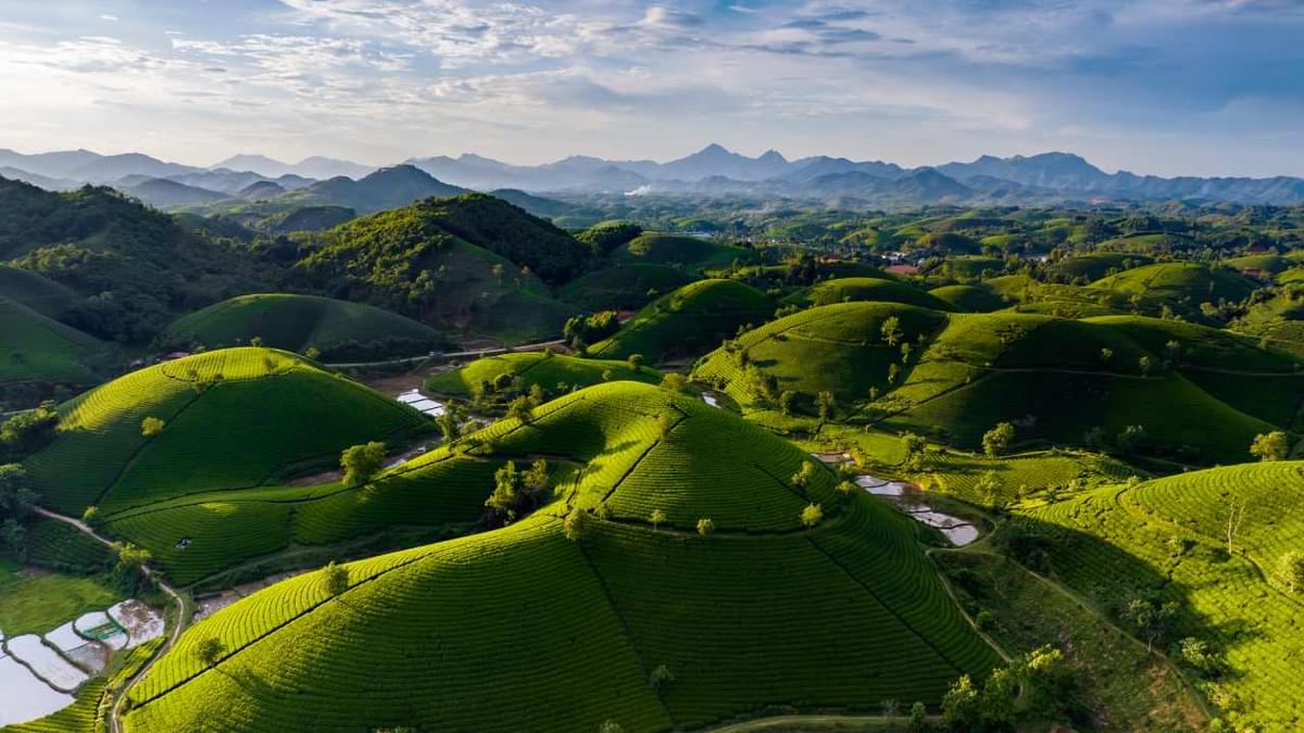 Ariel view of vietnam landscape