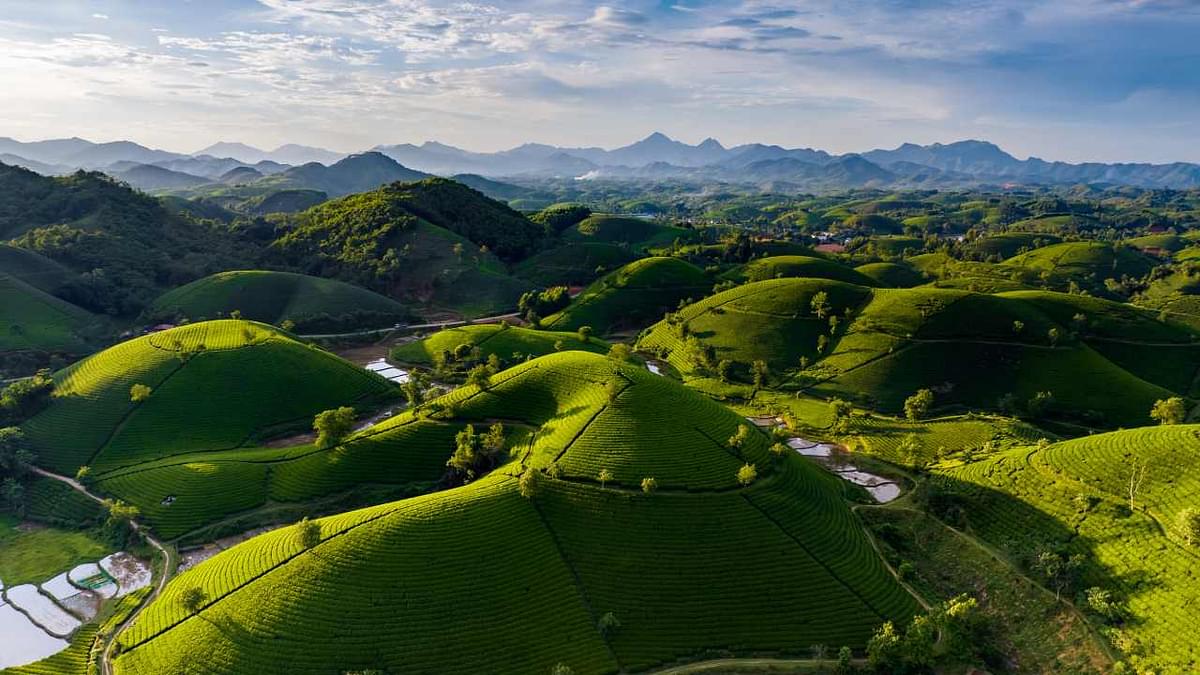 Ariel view of vietnam landscape 