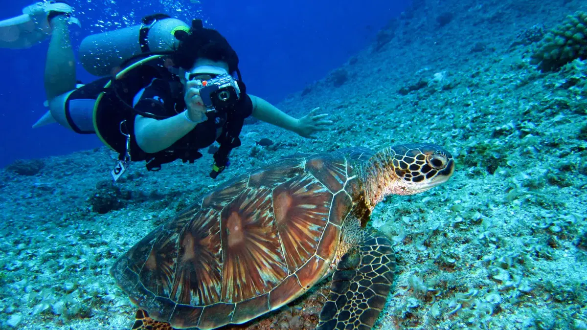 Water sports in Dubai