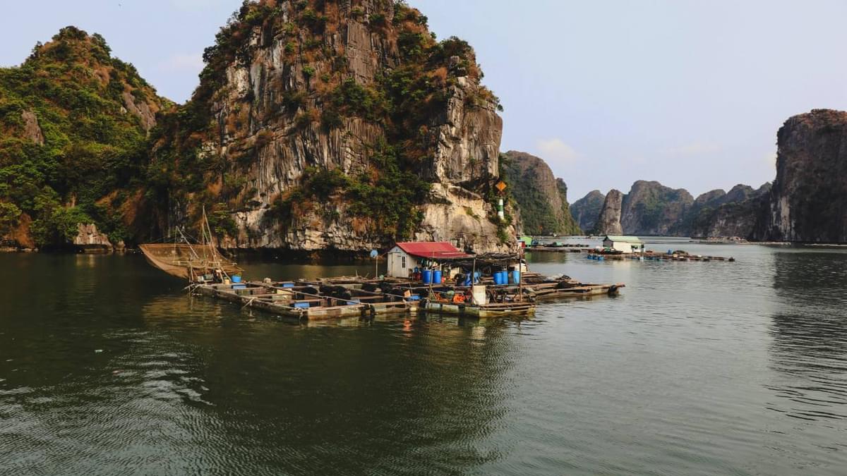 Floating fishing village surrounded by limestone karsts in Halong Bay, Vietnam, with calm waters and lush green cliffs under a clear sky.