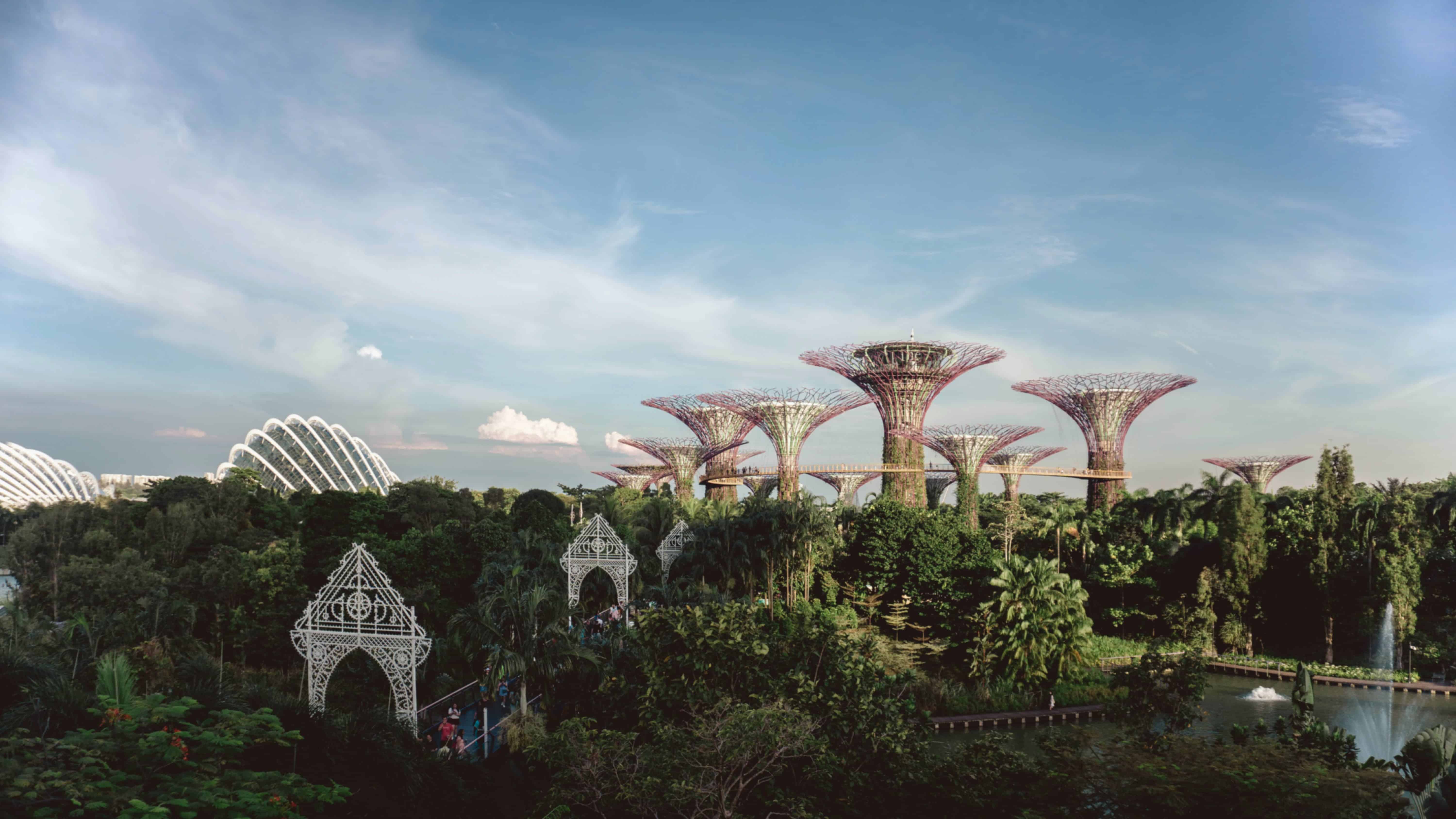 Singapore in August: Your Complete Travel Guide