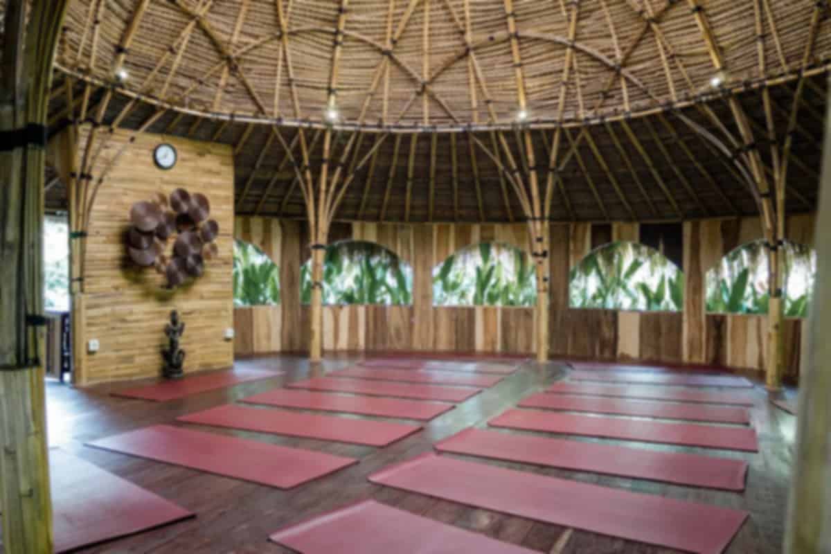 Yoga Barn Ubud Bali Guide 2026: Classes, Prices, Timings, Retreats & Visitor Tips